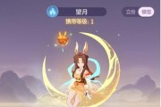 《长安幻想青丘加点攻略》（让你的角色更强大）