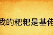 基佬手游包含哪些内容？如何选择合适的基佬手游？