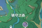 《原神稻妻地》首次抢先预览（原神稻妻地怎么开）