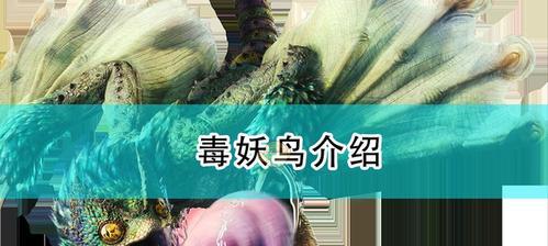 探秘怪物猎人（从外观到行为）