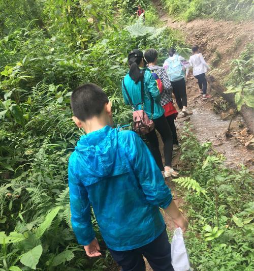 雨林探险之旅（以游戏为主的跋山涉水雨林地载具全面介绍）