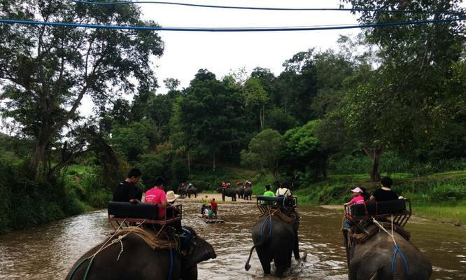 雨林探险之旅（以游戏为主的跋山涉水雨林地载具全面介绍）